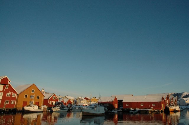 DSC_0469.jpg DSC_0469.jpg