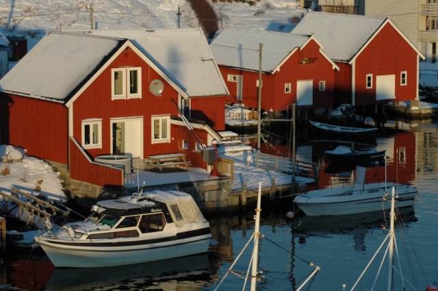 DSC_0513.jpg DSC_0513.jpg